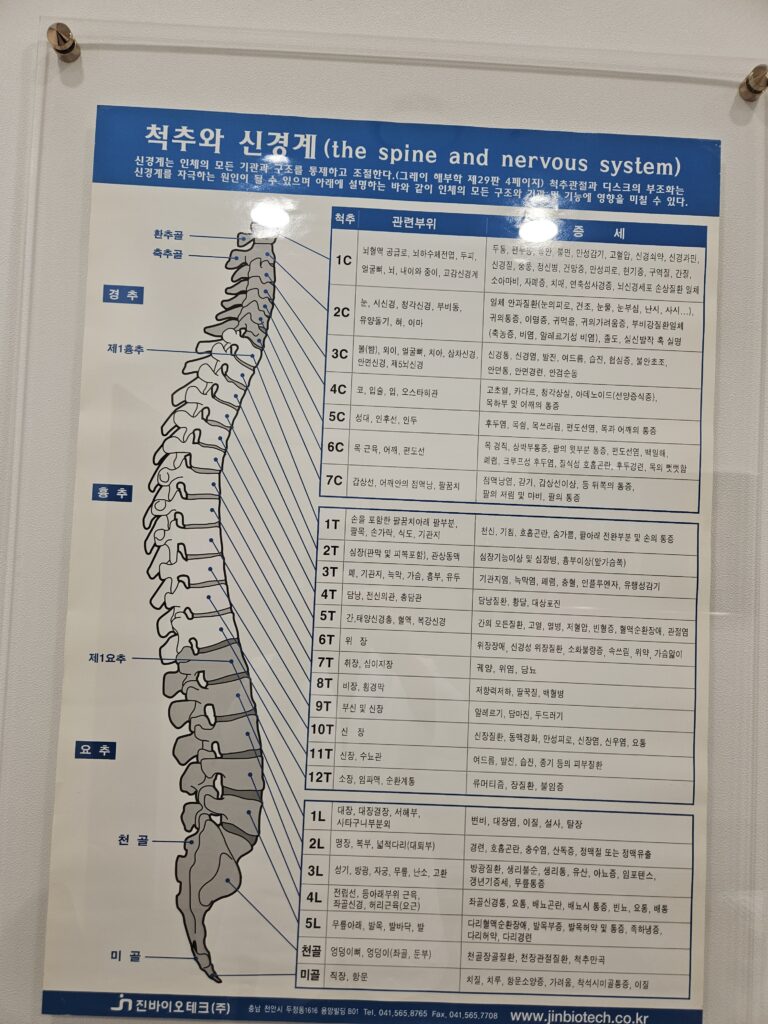 kakaotalk 20260226 192258453 01